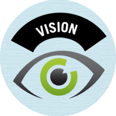 vision
